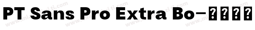 PT Sans Pro Extra Bo字体转换